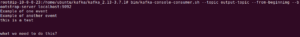 Kafka tutorial screenshot