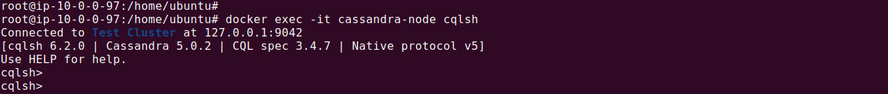 terminal screenshot Cassandra